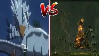 Hyrule Warriors Age of Calamity Battle-Tested Guardian fight against my Teba. (No Damage Taken)