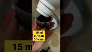 seaweed extract for plants| liquid fertilizer| how to use seaweed extract for plants