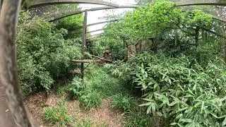 Cotswold Wildlife Park 2025