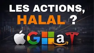 Comment v&eacute;rifier si une action est halal avec Musaffa ? (Selon les crit&egrave;res AAOIFI)