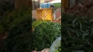 Vegetable Sellingidea| Vegetable SellingCard| Sabji BechaneKaTarika| Vegetable BechaneKeleya Thela||