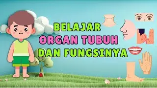 BELAJAR ORGAN TUBUH DAN FUNGSINYA | Bahasa Indonesia | Balita dan PAUD | Animasi 3D