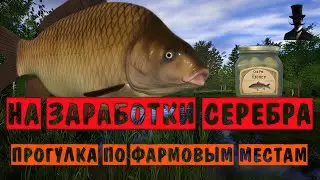 На заработки серебра. Прогулка по денежным местам. Русская Рыбалка 4.