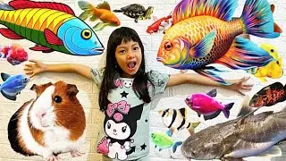 Menangkap Ikan Dalam kanar mandi😱Ikan Lele, Gabus, Hiu, Nemo, Koi, Lobster, Buntal, Nila & Koki