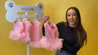 PetLondon Rose Tutu Pink Dog Dress