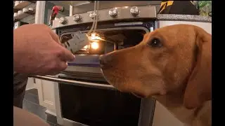 Replace KitchenAid Igniter