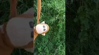 Help Monkey #FuTubeEmpire/#FuShorts | Fu Creative ideas