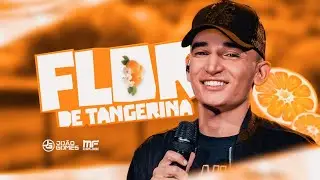 Jo&atilde;o Gomes - Flor de Tangerina (Lan&ccedil;amento Oficial) MF EXPLODE