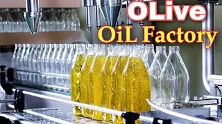 Olive Oil Factory - The Garden of Olive || Khalis Zaiton ka Oil Kaise Nikala Jata Hai