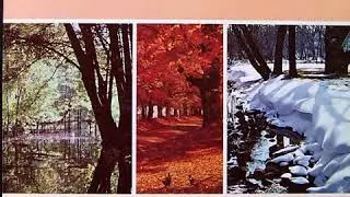 Jackson Brothers - Master Designer (1972)