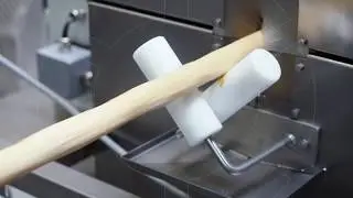 Schaaf Technologie GmbH - Brotchips/breadchips