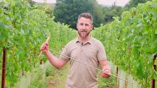 Test and Measure Soil Compaction