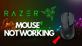 Исправление проблемы с беспроводной/USB-мышью RAZER, не работающей в Windows 11/10 [Решение]