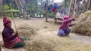 Village life Nepal hard working struggle girls poor but happy life #villagelife #village 