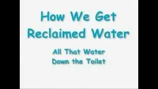 Flush Toilet Video Animation Tampa by Florida Digital Studios