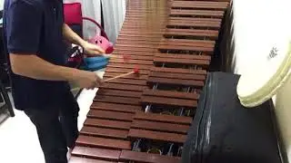 【マリンバ】クラシック速弾きメドレー
