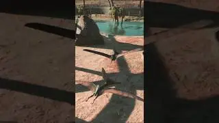 Barbaridactylus In Jurassic World Evolution 2