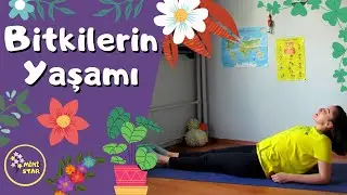 Bitkilerin Yaşam Hikayesi * Mini Star Çocuk Yogası / Kids Yoga