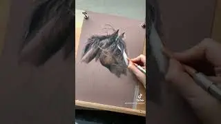 Horse drawing tutorial snippet in Pastels pencils which will be available on my Patreon in August.