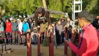 Championship Street Workout Freestyle Alg&eacute;rienne Dz