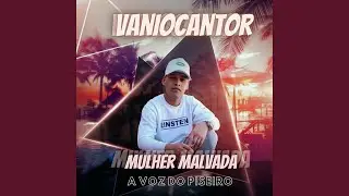 Mulher Malvada