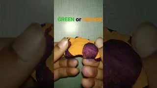 guss the colour org.telegram.messenger#comedy #1 shorts feed