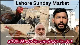Lahore Sunday Bazaar Desi Murgi & Aseel Chickens Discount prices | Complete Market Review