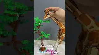 LEGO CREATOR 31150 Wild Safari Animals - Giraffe / 레고 크리에이터 31150 야생 사파리 동물 - 기린