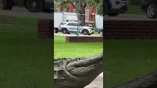 UFPD