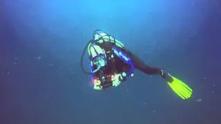 bonaire duikvakantie 2016 /dive holiday