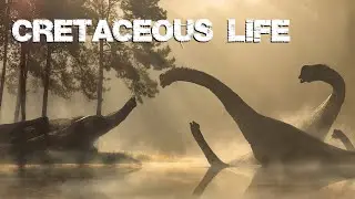 Cretaceous Life