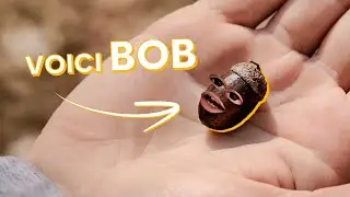 Je vous pr&eacute;sente mon meilleur ami 👬