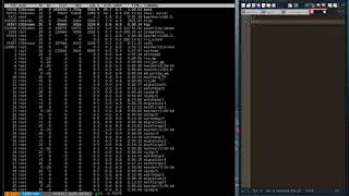 MCLab Tutorial 8: Using ps, kill and top -- search for a Linux process and kill it!