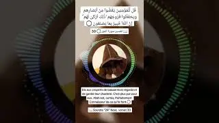 Dis aux croyants de baisser leurs regards et asteté.