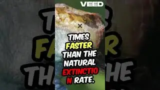 Turning the Tide  Save Our Planet! #viralvideo #facts #environmentalissues #environmentawareness