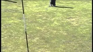 stick my foot