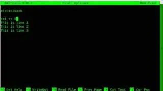 BASH Print Multiple Lines