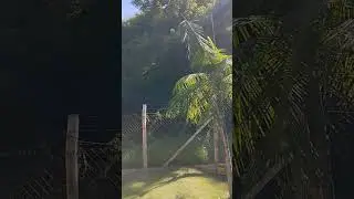 10 de janeiro de 2026