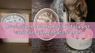Recensione del PiuPet Ciotola per cani con alimentatore lento I 1,4L I lavabile in lavastoviglie I g
