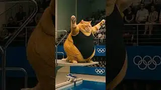 Chonky Cat Dives Into Olympic Pool 🐈🏊&zwj;♂️ #cat #cute #cutecat