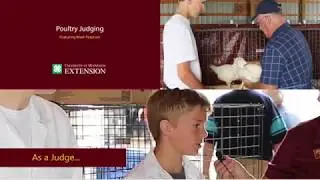 4-H Poultry Judging