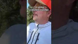 #littleriddle #fishing #lobster #mainecoon