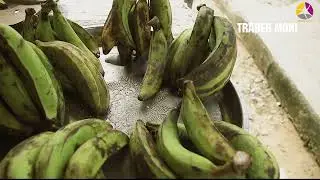 7  TraderMoni Beneficiary Report