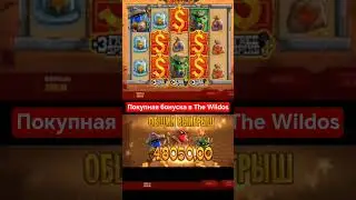 Покупная бонуска вThe Wildos #slot #bigwin #casino #слотыказино #заносывказино #jackpot