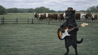 Show dos Animais Musicais #BandaAnimal