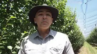 Cultural and biological management of pests & diseases