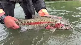 Aniak River Lodge 2023 - Alaska - Stillwater Travel