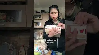 My monthly budget here in the Czech Republic as OFW