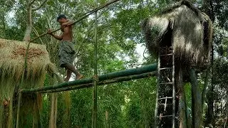 Building primitive treehouse in the forest - Full Video
