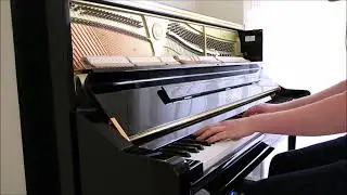 Amazing - Rex Orange County | Piano Cover by Julian Zeger